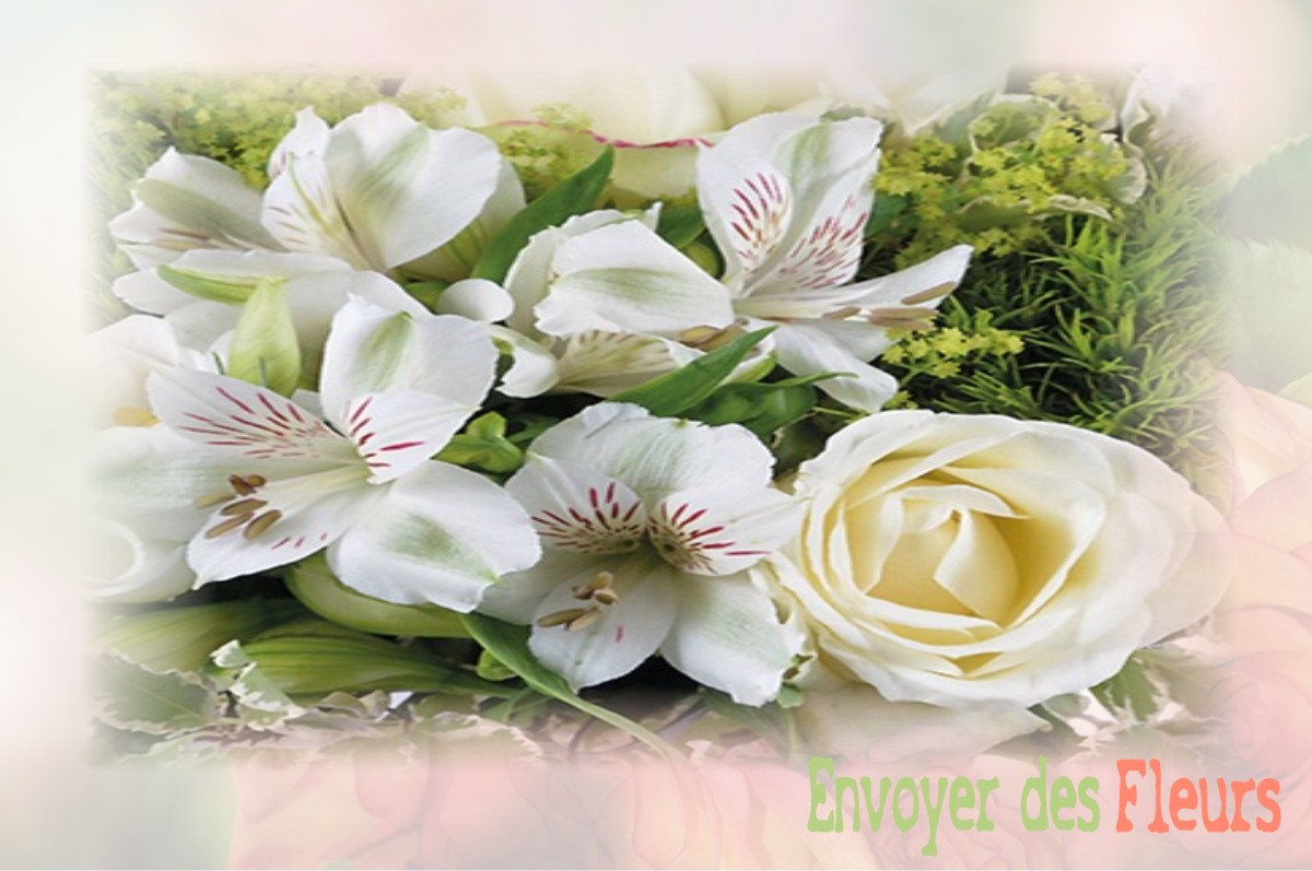 envoyer des fleurs à à CIRFONTAINES-EN-ORNOIS